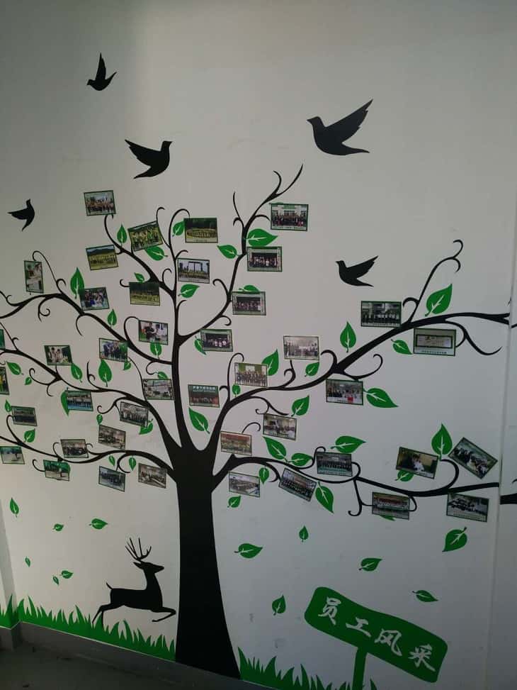 �_��(ji��)�ܿՉ��C�T���L��